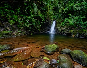 a small waterfall in the middle of a forest