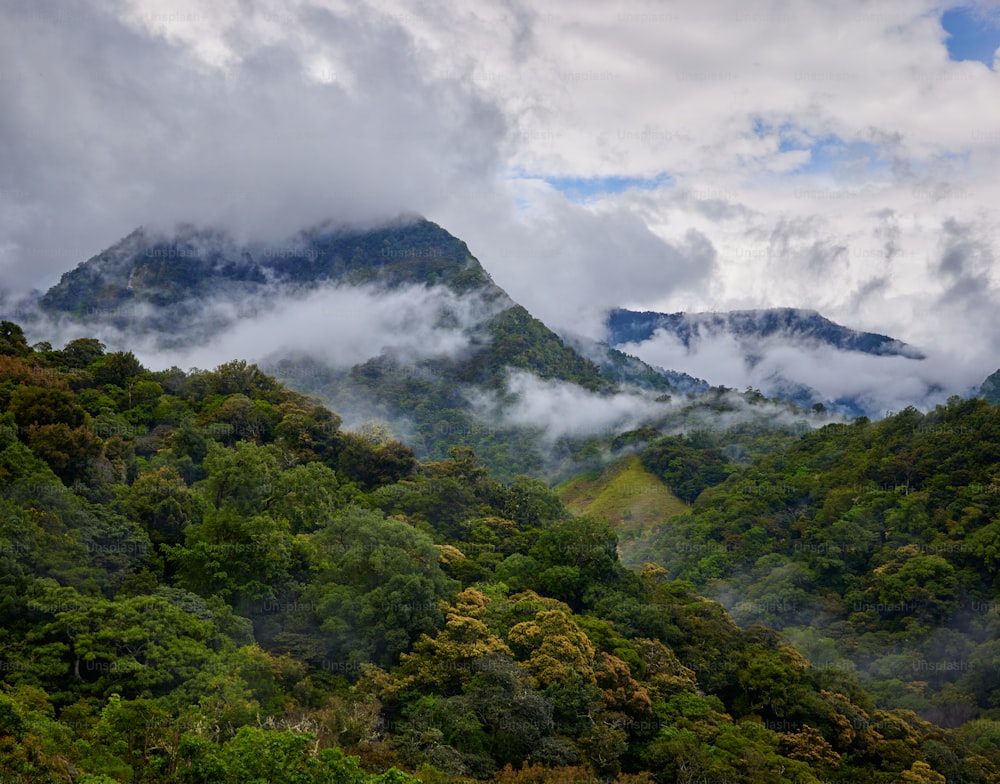 a view of a mountain range covered in clouds