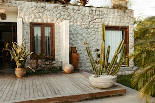 a house with a large potted plant next to it