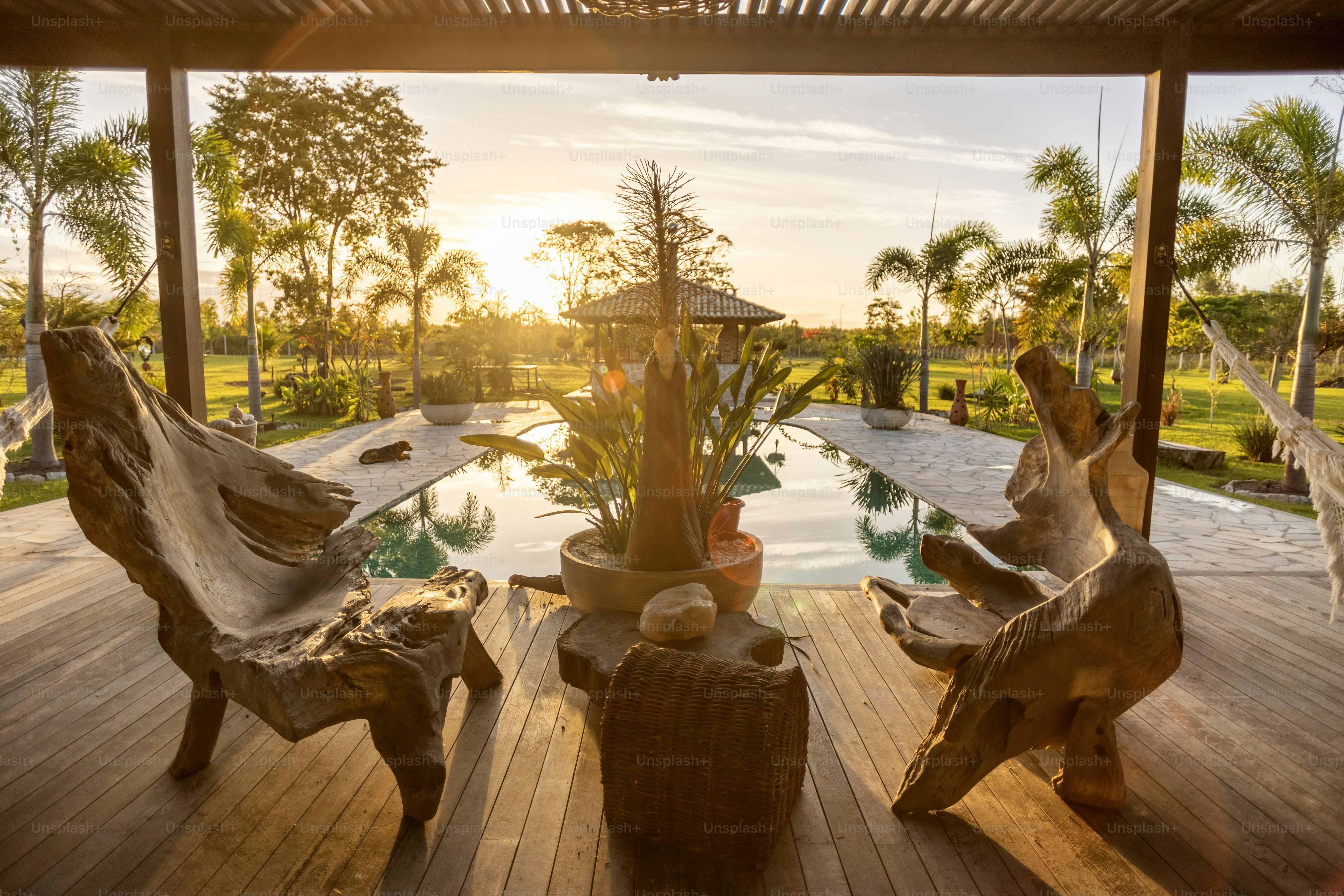 a wooden deck with chairs and a potted plant
