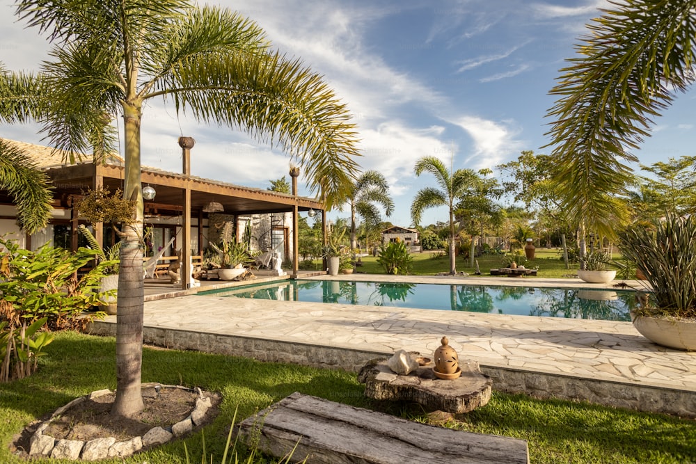 uma piscina rodeada por palmeiras ao lado de uma casa
