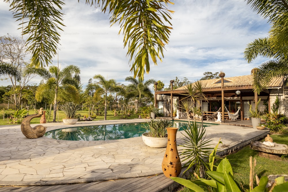 Una casa con piscina rodeada de palmeras