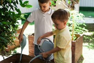two young boys are watering plants in a garden