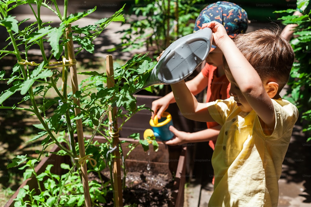 two children are playing in a garden with a frisbee