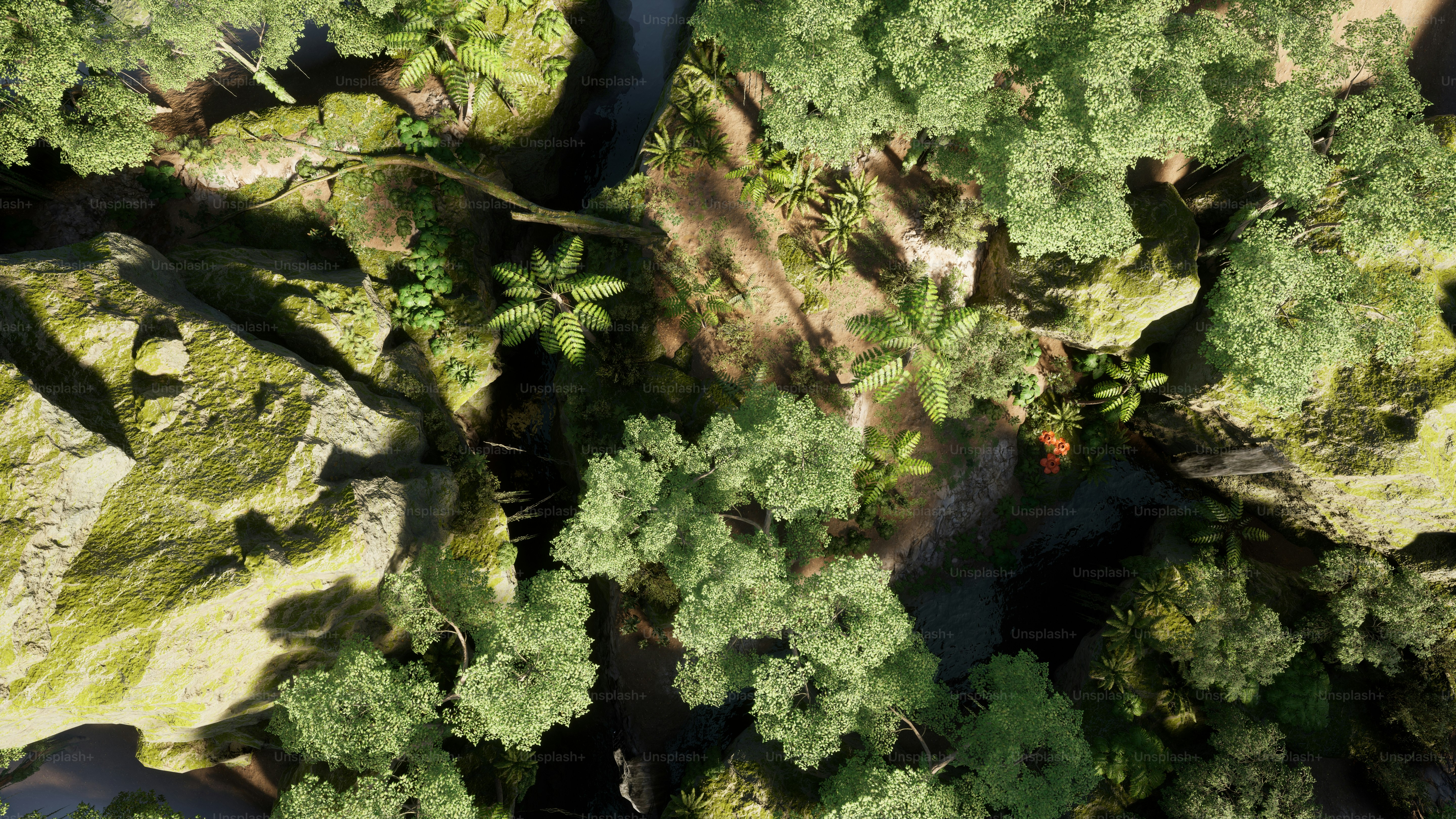 an aerial view of a lush green forest