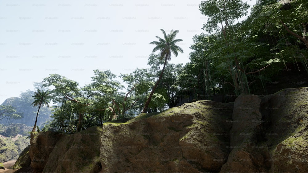 a group of palm trees on a rocky cliff