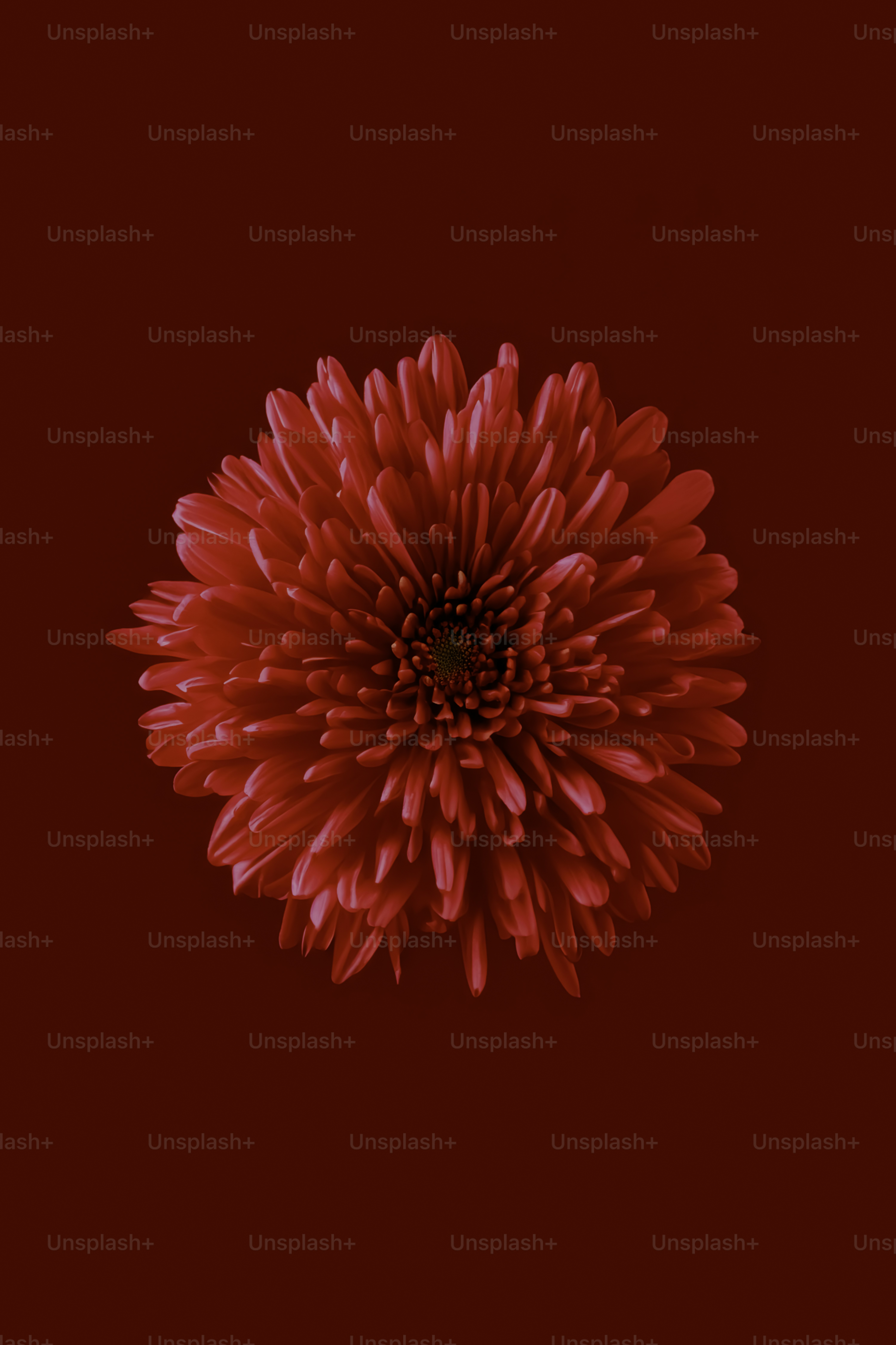 premium_photo-1688045702762-ad476544a278