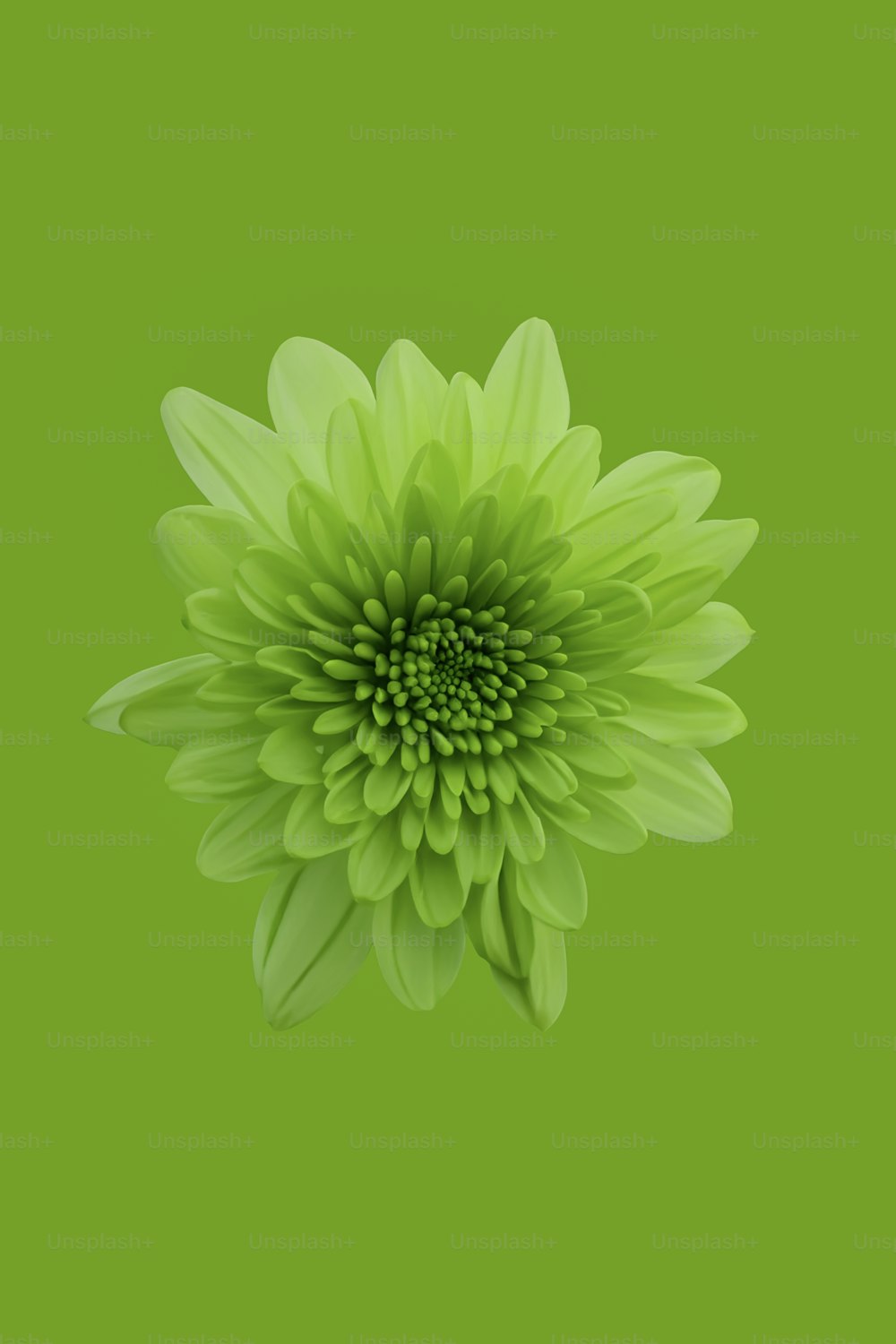 Una gran flor verde sobre un fondo verde