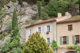 a building with green shutters next to a tree