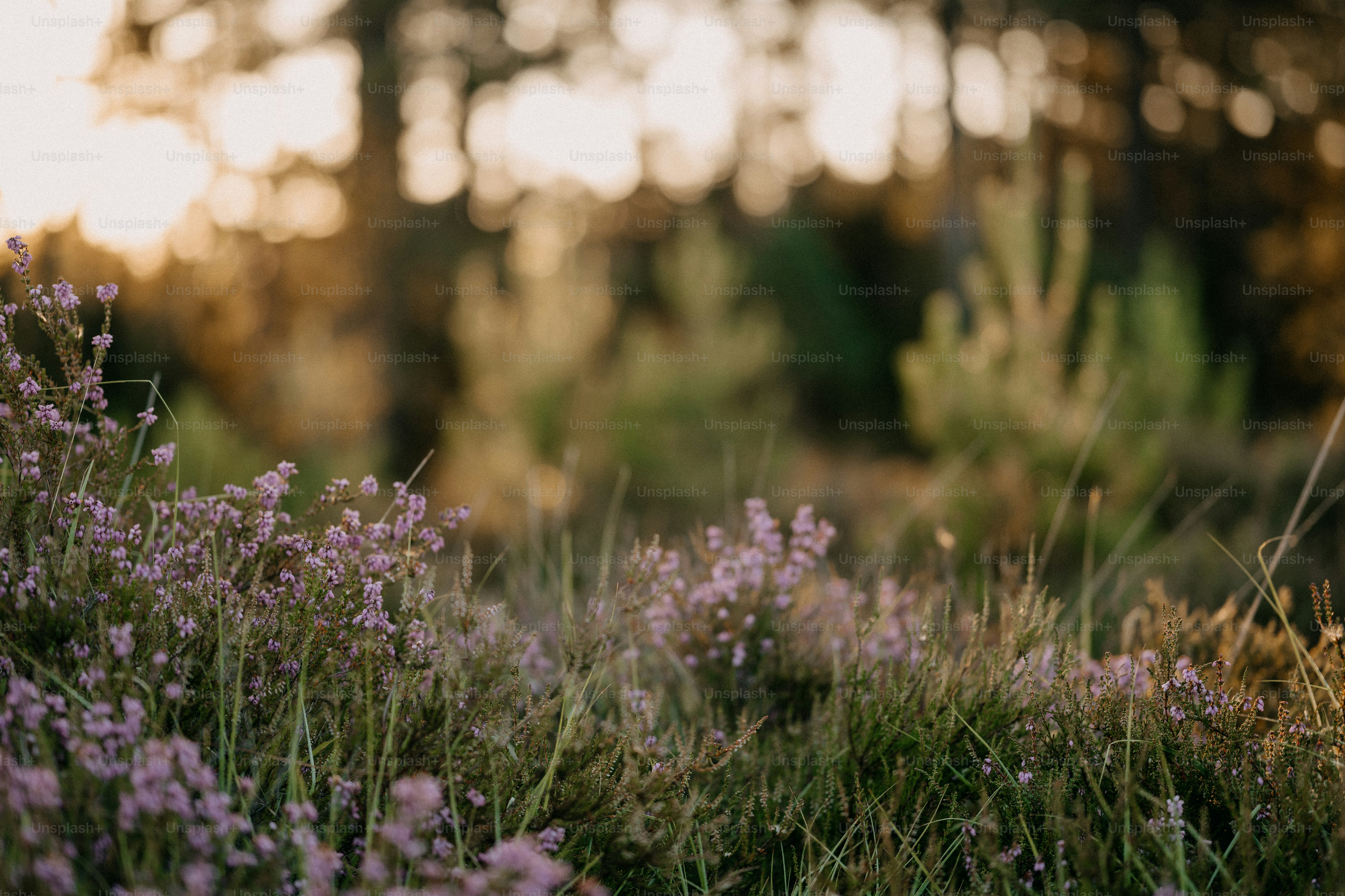ein Blumenstrauß, der im Gras liegt
