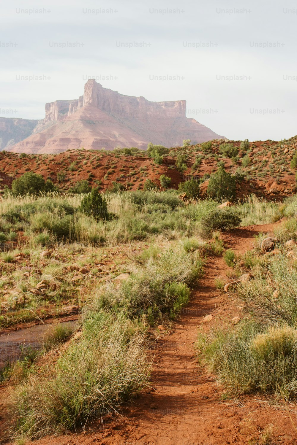 a dirt path in the desert with a mountain in the background