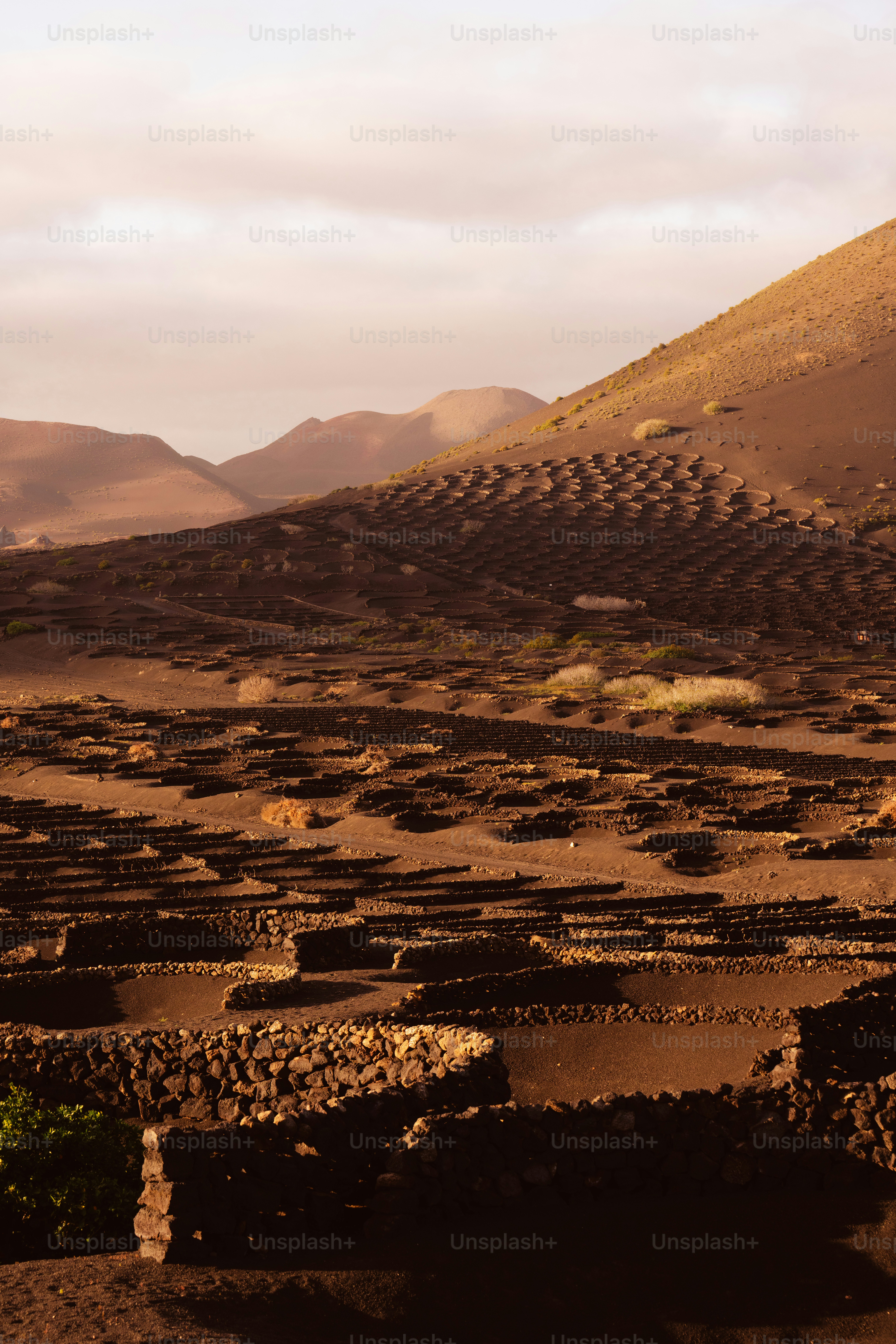 a desert landscape with a mountain in the background