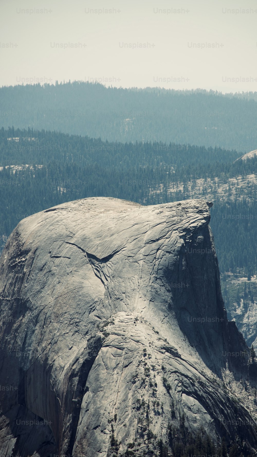 a large rock in the middle of a forest