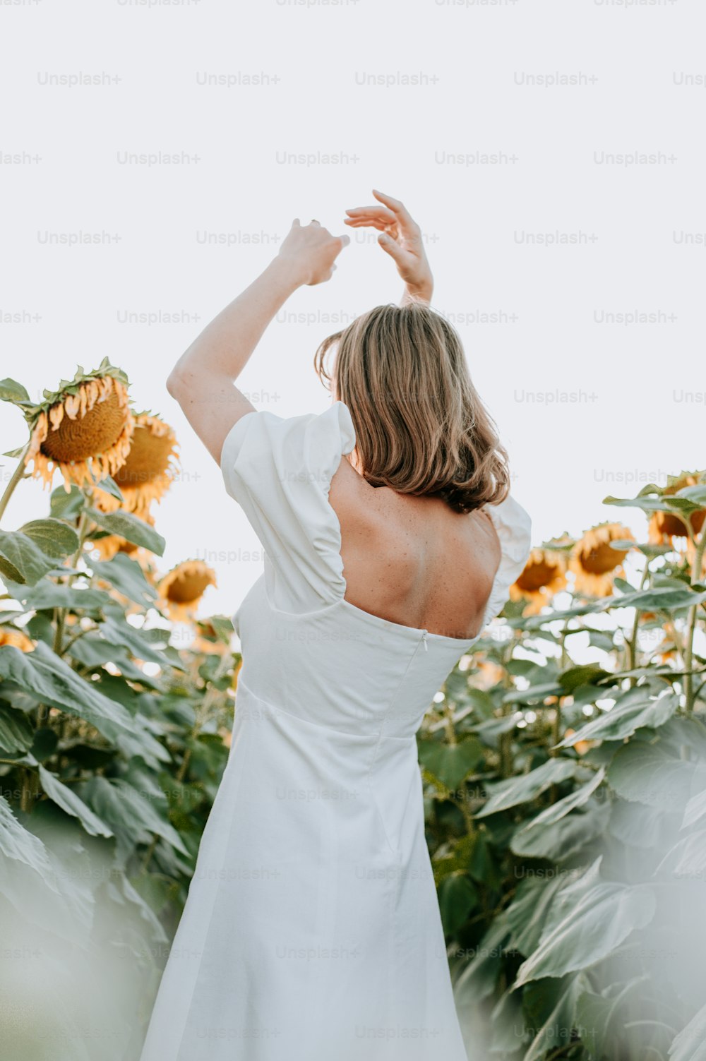 a woman in a white dress standing in a field of sunflowers