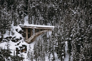 a bridge in the middle of a forest covered in snow