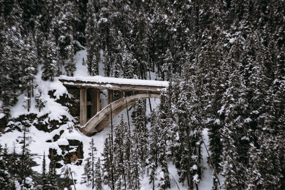 eine Brücke mitten in einem schneebedeckten Wald
