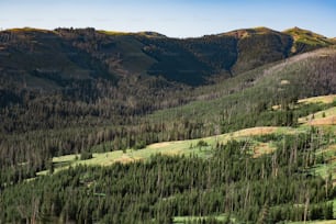 Una vista de una cadena montañosa con árboles y hierba