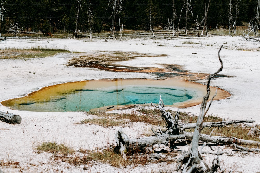 a pool of water in the middle of a snowy field