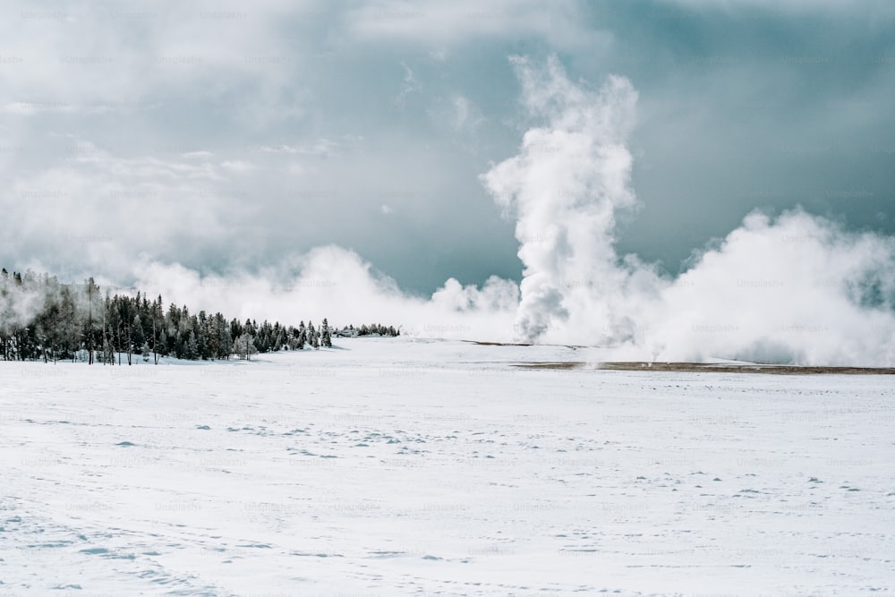 Un campo cubierto de nieve con árboles al fondo