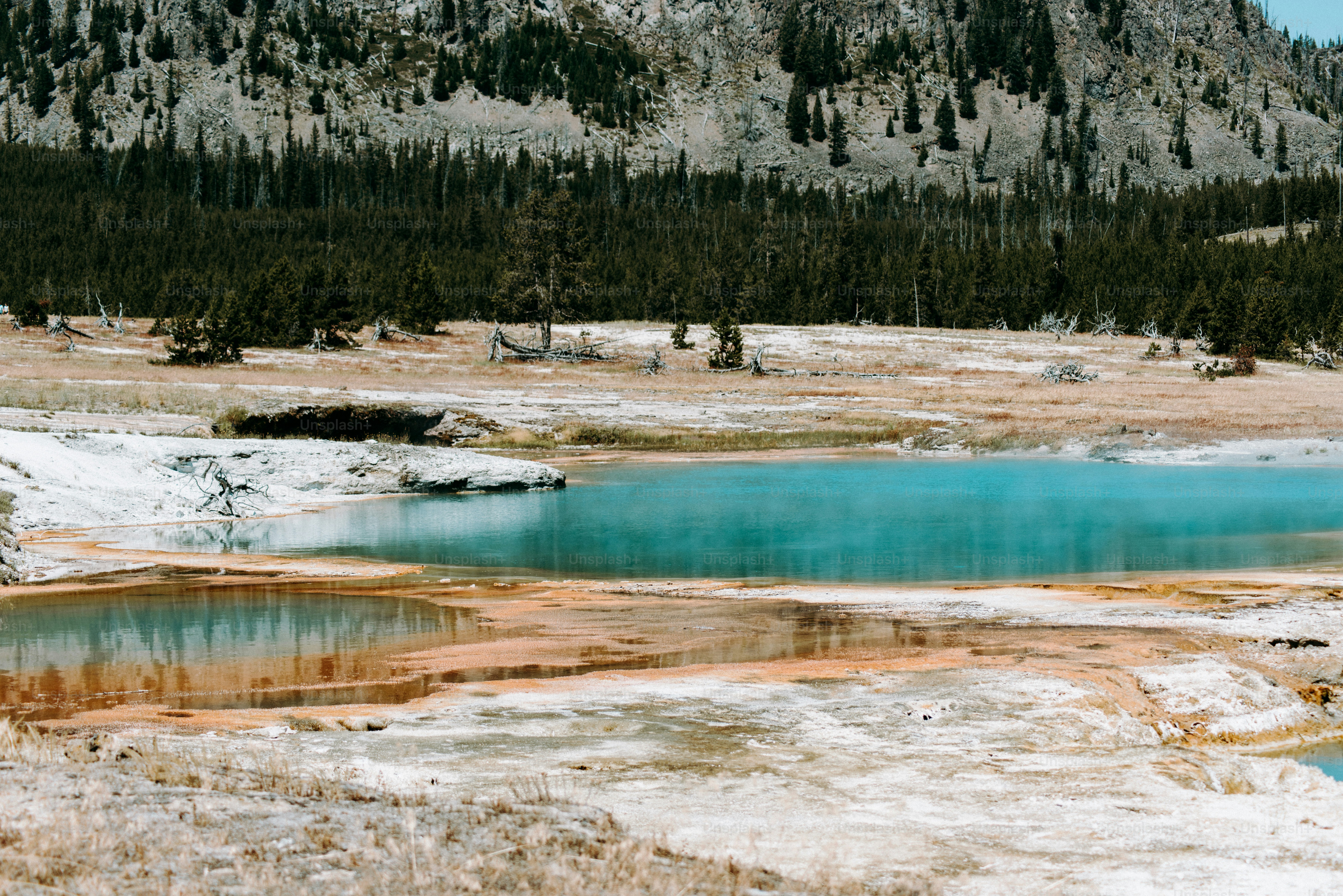 a blue lake surrounded by snow and trees