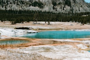 a blue lake surrounded by snow and trees