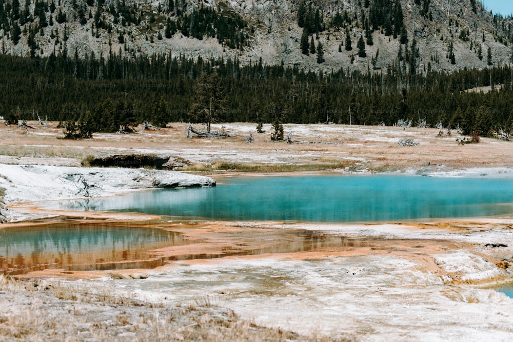 a blue lake surrounded by snow and trees