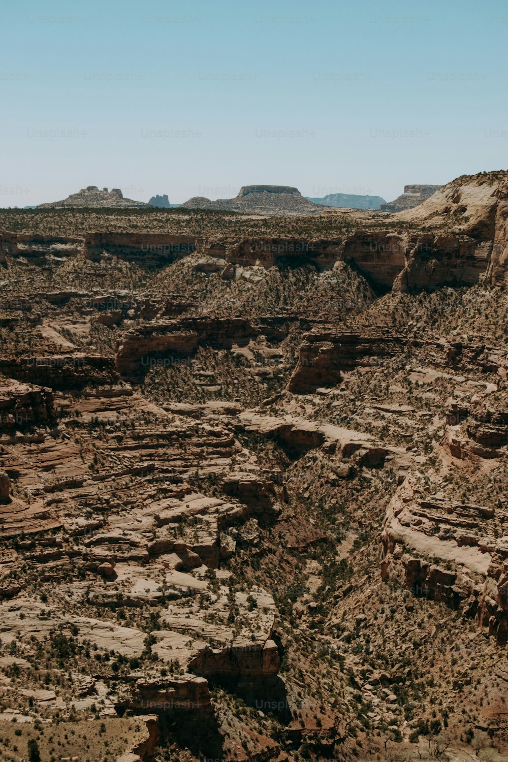 une vue d’un canyon au milieu du désert