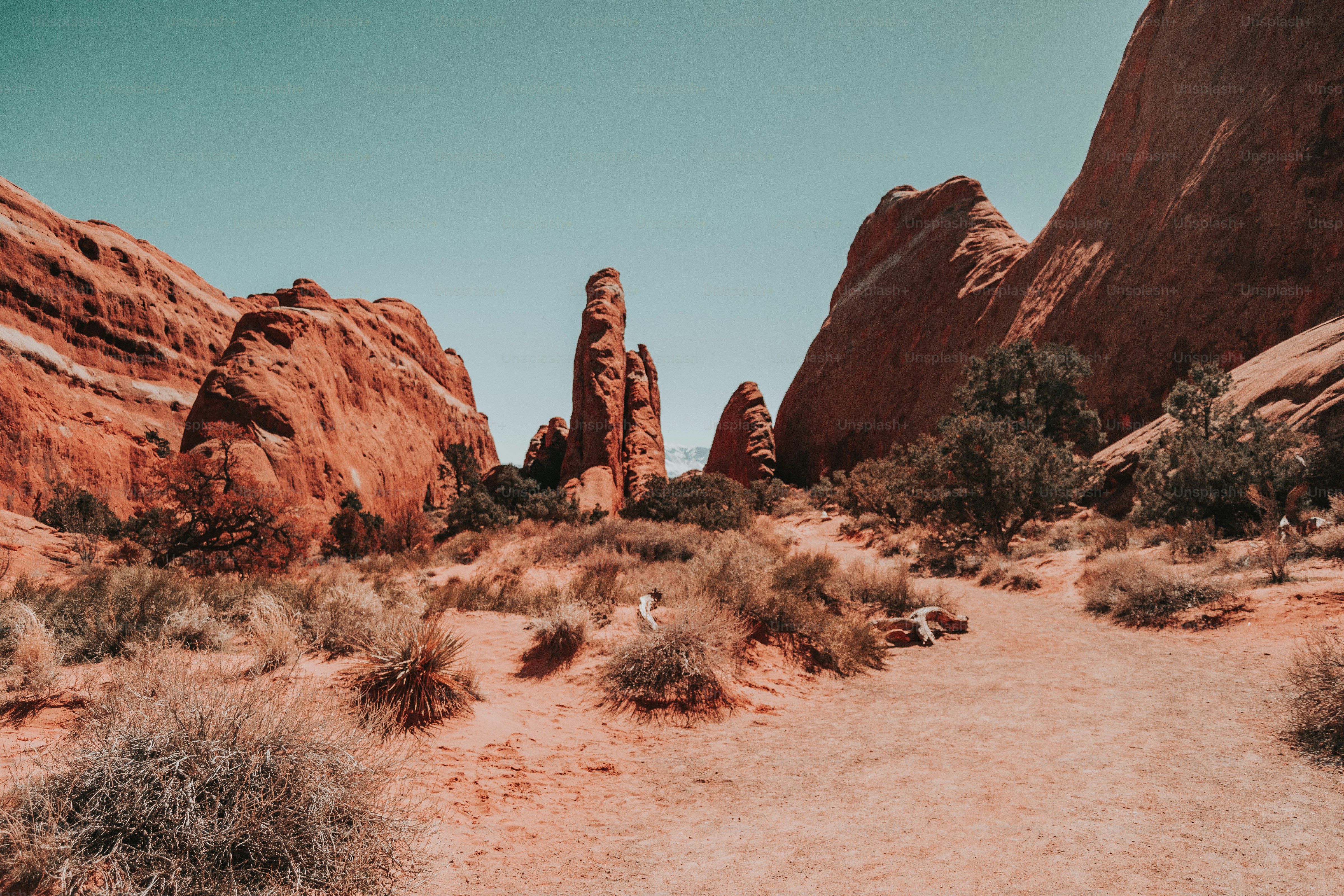 Eine unbefestigte Straße mitten in der Wüste