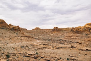 a rocky landscape with sparse vegetation and rocks