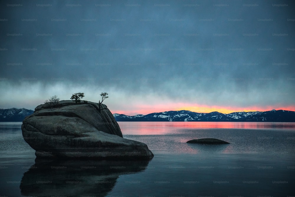 a lone tree on a rock in the middle of a lake