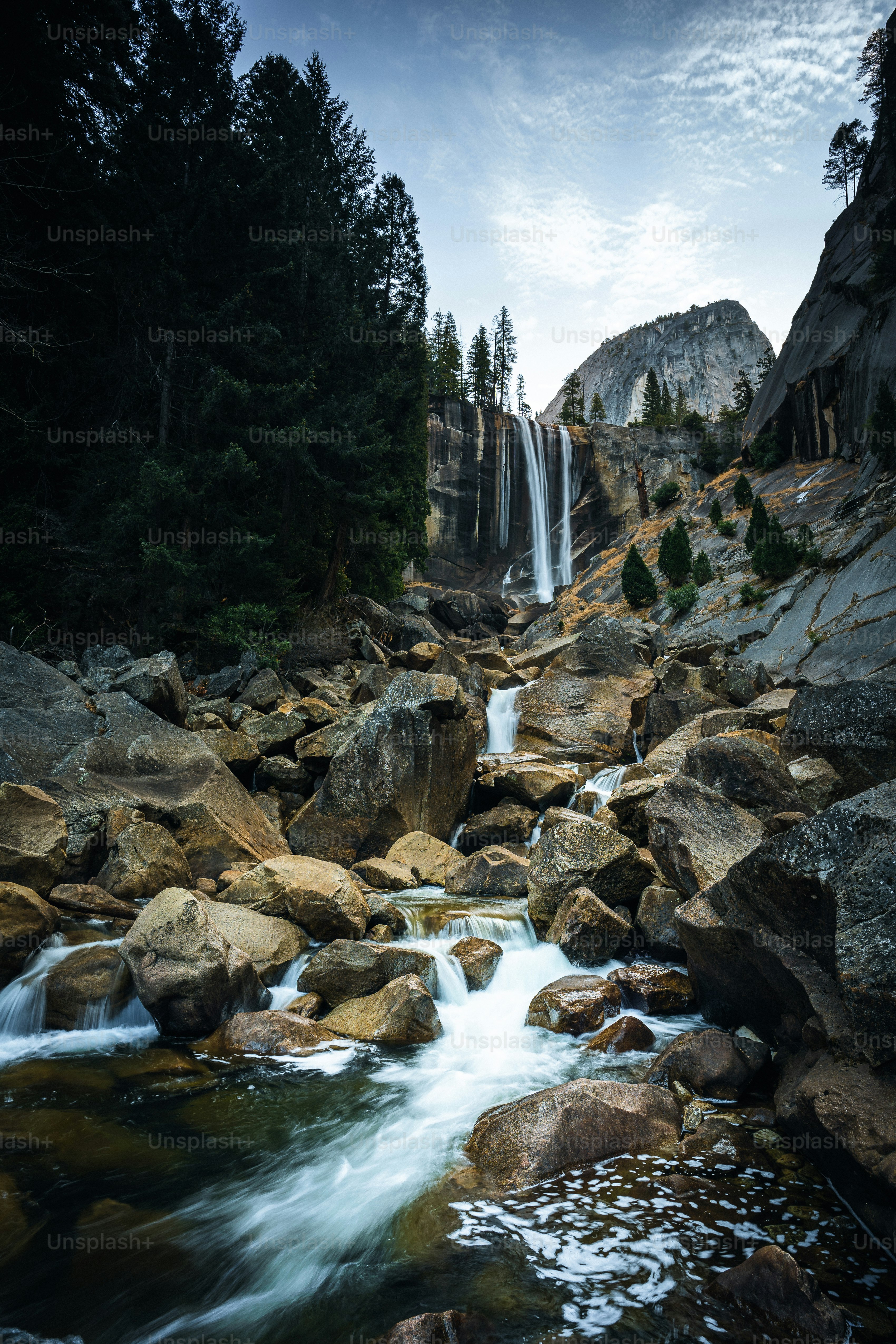 Un ruscello d'acqua che scorre attraverso una lussureggiante foresta verde