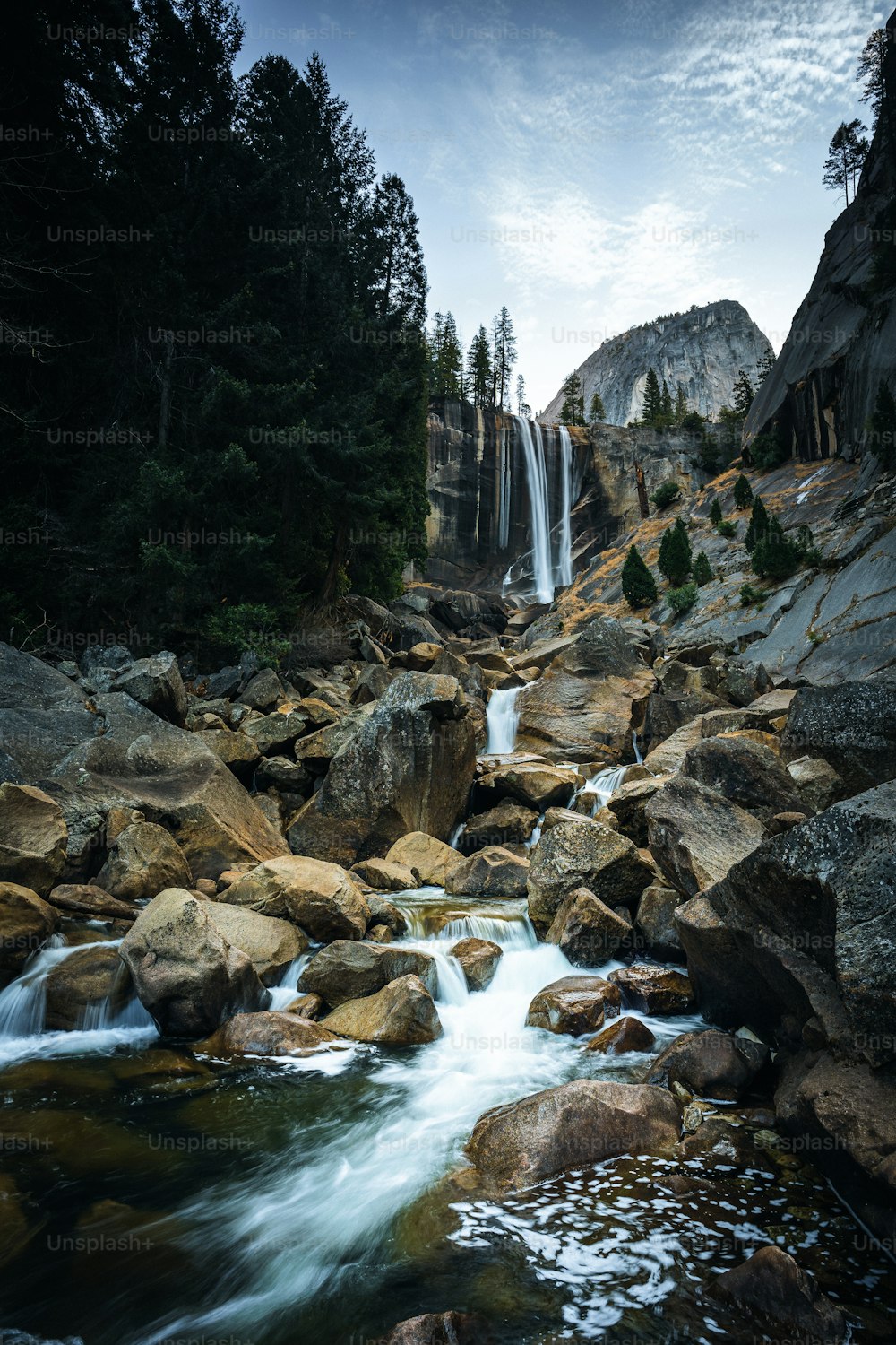 a stream of water running through a lush green forest