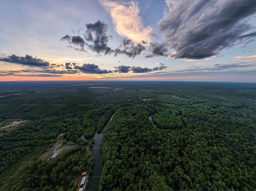 an aerial view of a river running through a lush green forest