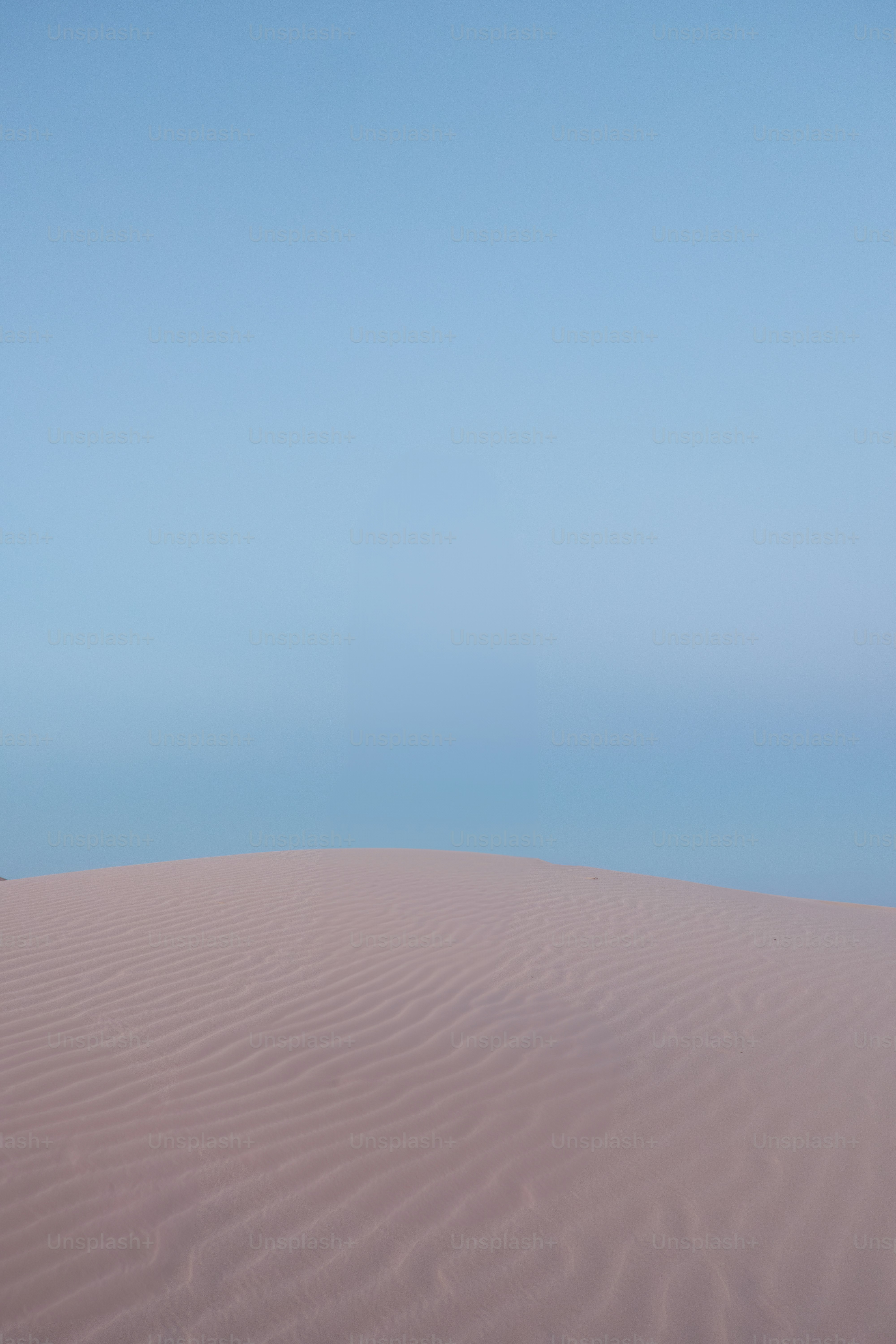 Un arbre solitaire au milieu d’un désert photo Utah Photo sur Unsplash