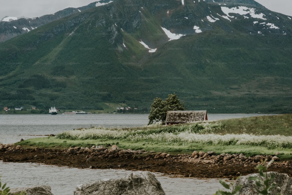 Una pequeña cabaña sentada en una pequeña isla en medio de un lago