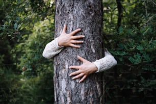木に手を置いている人