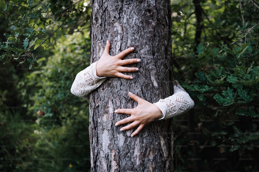 uma pessoa com as mãos em uma árvore