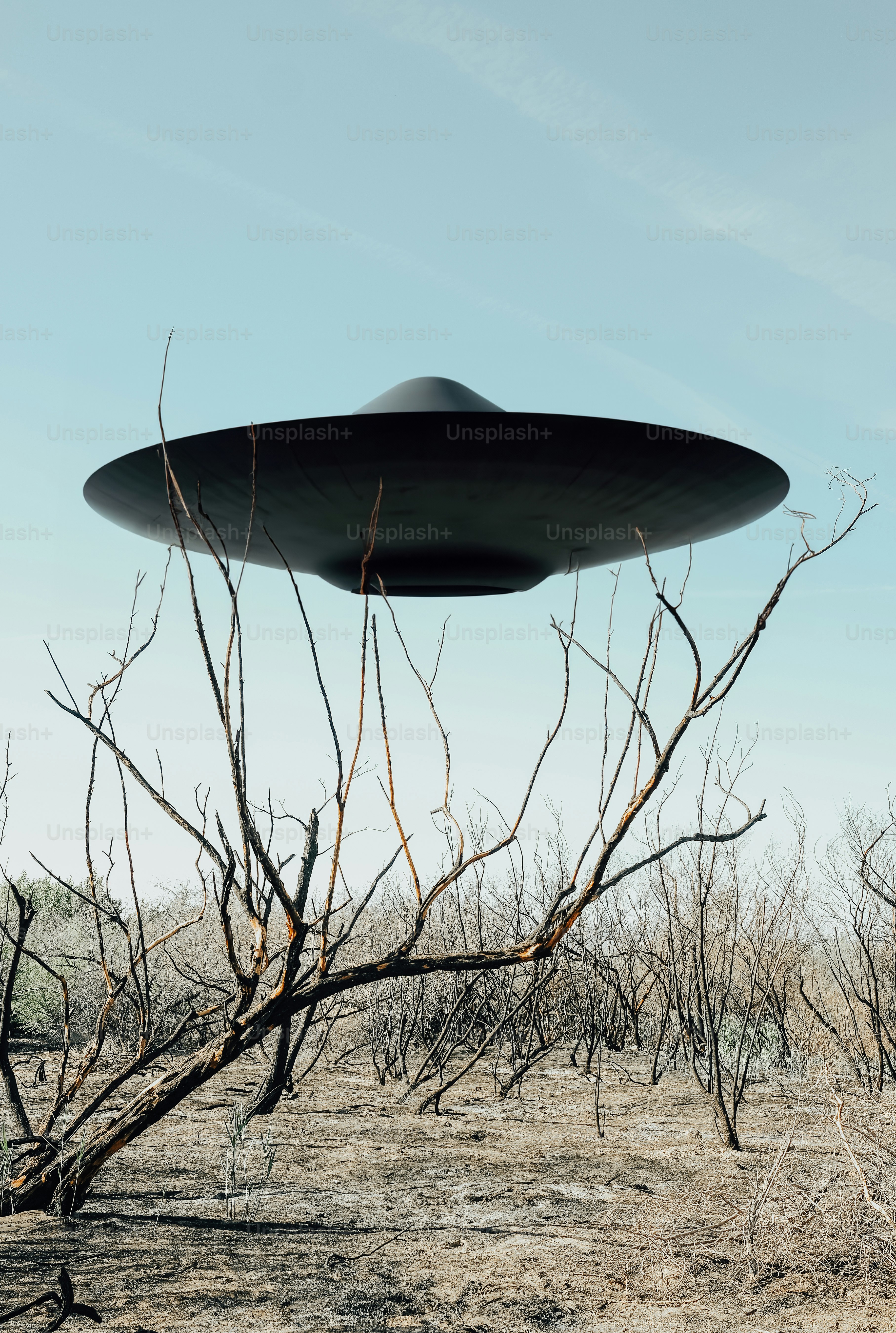 a large black object in the middle of a barren area