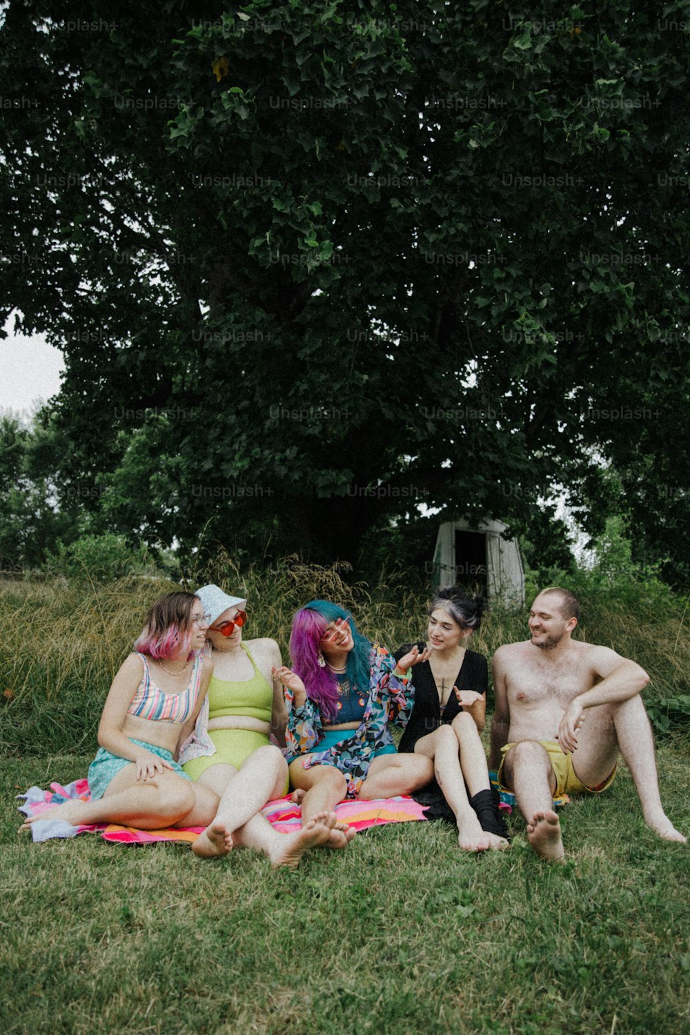 a group of people sitting on top of a lush green field