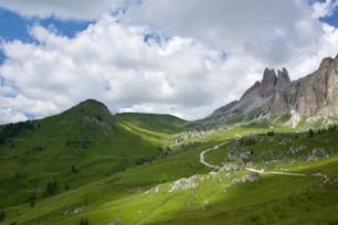 a lush green hillside covered in lush green grass