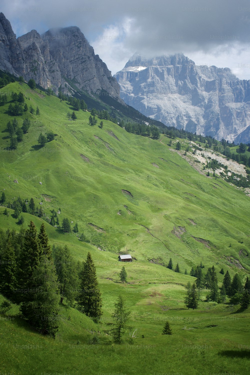 중앙에 집이 있는 무성한 녹색 언덕