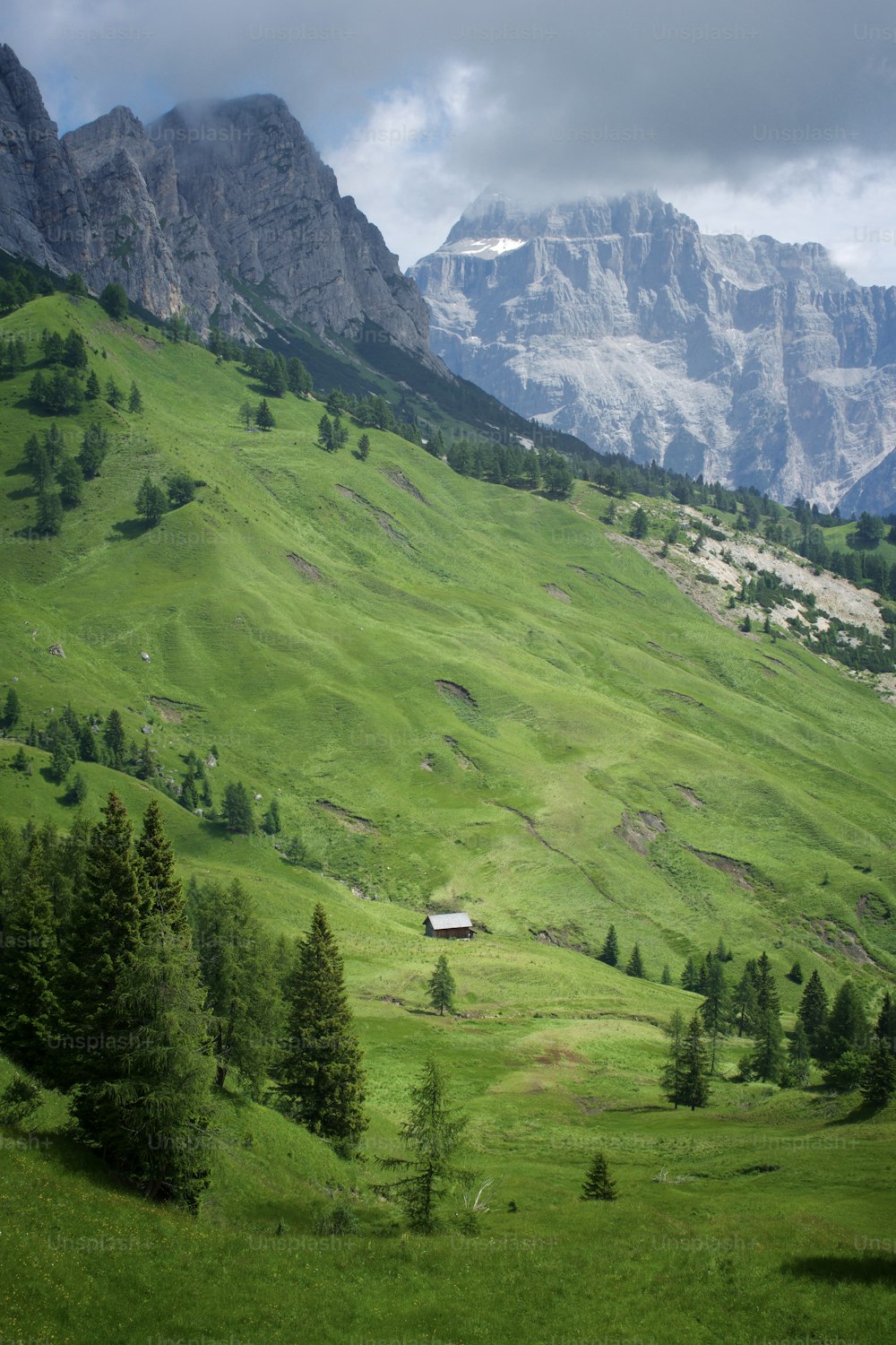 a lush green hillside with a house in the middle