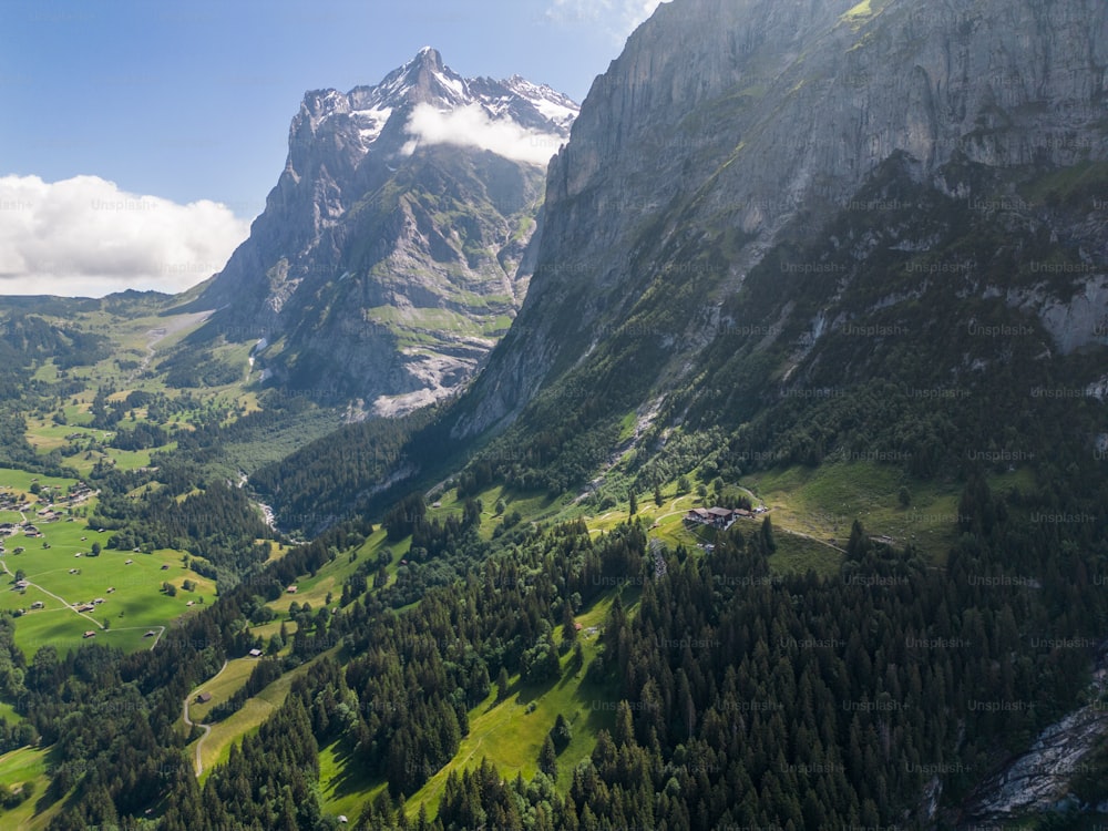 uma vista de um vale com uma montanha ao fundo