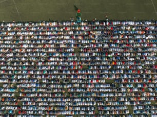 un grande gruppo di persone in piedi in un campo