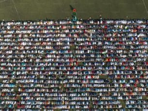 a large group of people standing in a field