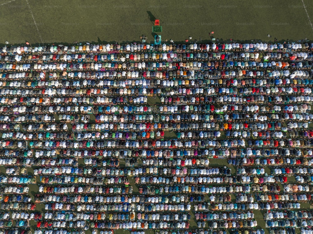 a large group of people standing in a field