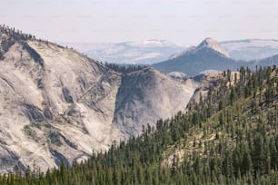 a view of a mountain range with pine trees in the foreground