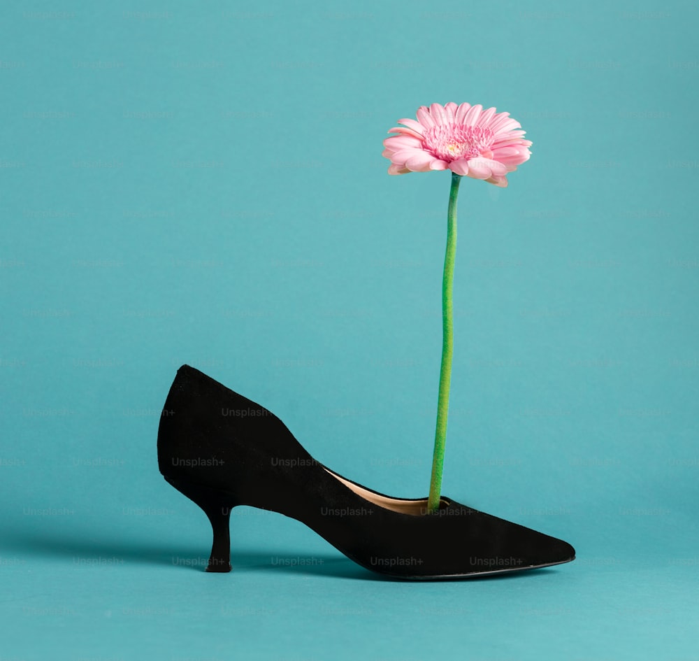 a pink flower sticking out of a black shoe