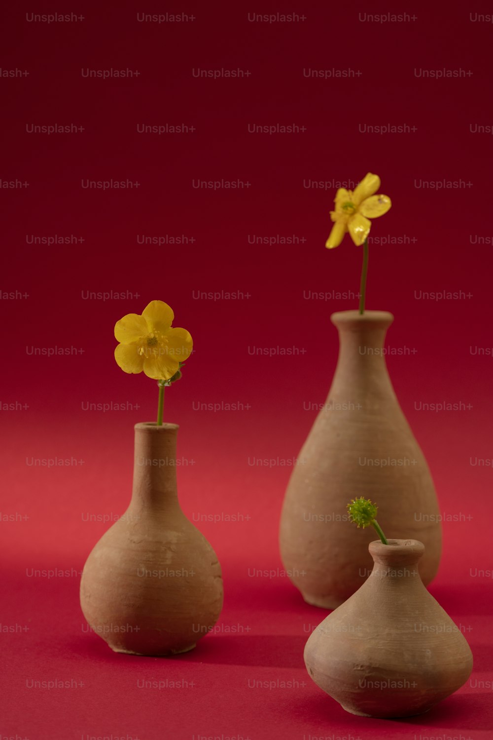 Tres jarrones con flores amarillas sobre un fondo rojo