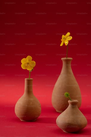 three vases with yellow flowers in them on a red background